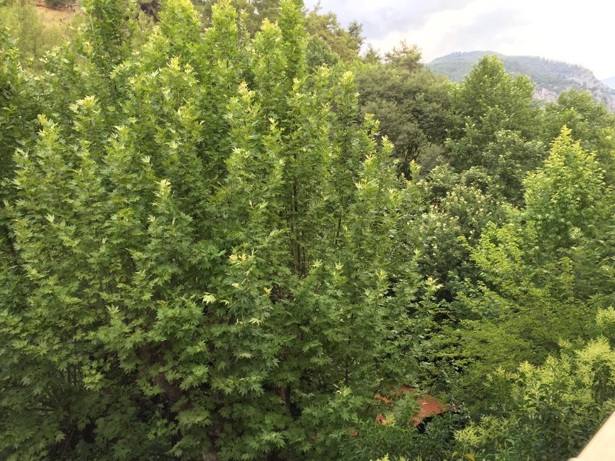 Yuvarlakcay Cinar Butik Hotel Koycegiz  Exterior foto